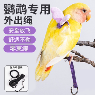 鹦鹉牵引绳超轻不勒外出背带训练溜鹦鹉鸟神器虎皮牡丹玄凤放飞绳