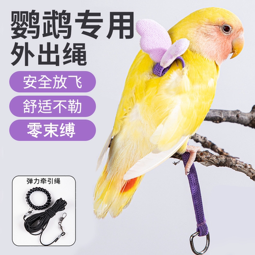 鹦鹉牵引绳超轻不勒外出背带训练溜鹦鹉鸟神器虎皮牡丹玄凤放飞绳