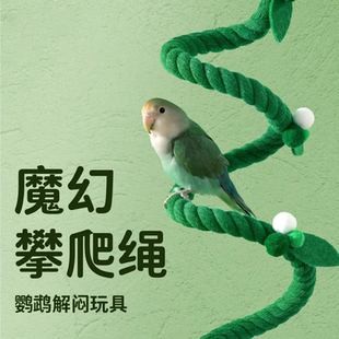 鹦鹉玩具鸟专用秋千攀爬绳站杆牡丹玄凤虎皮棉绳笼内装饰解闷自嗨