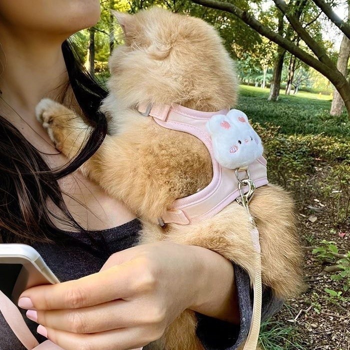 猫咪牵引绳夏季轻薄透气胸背绳宠物小型犬泰迪比熊博美可调节防脱