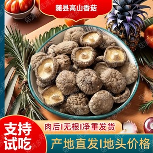 随州香菇随州农产品干香菇肉厚无根菇类干货新鲜食材菌类干货