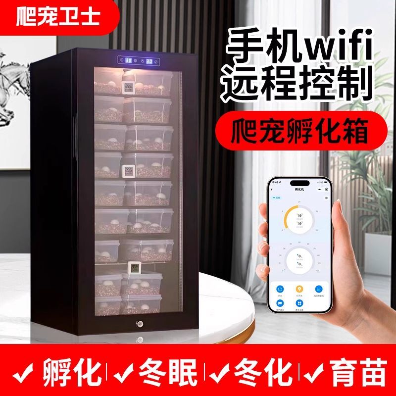 乌龟孵化箱蜥蜴守宫爬虫孵化器爬宠孵化箱蛇鬃狮孵化机孵化恒温柜