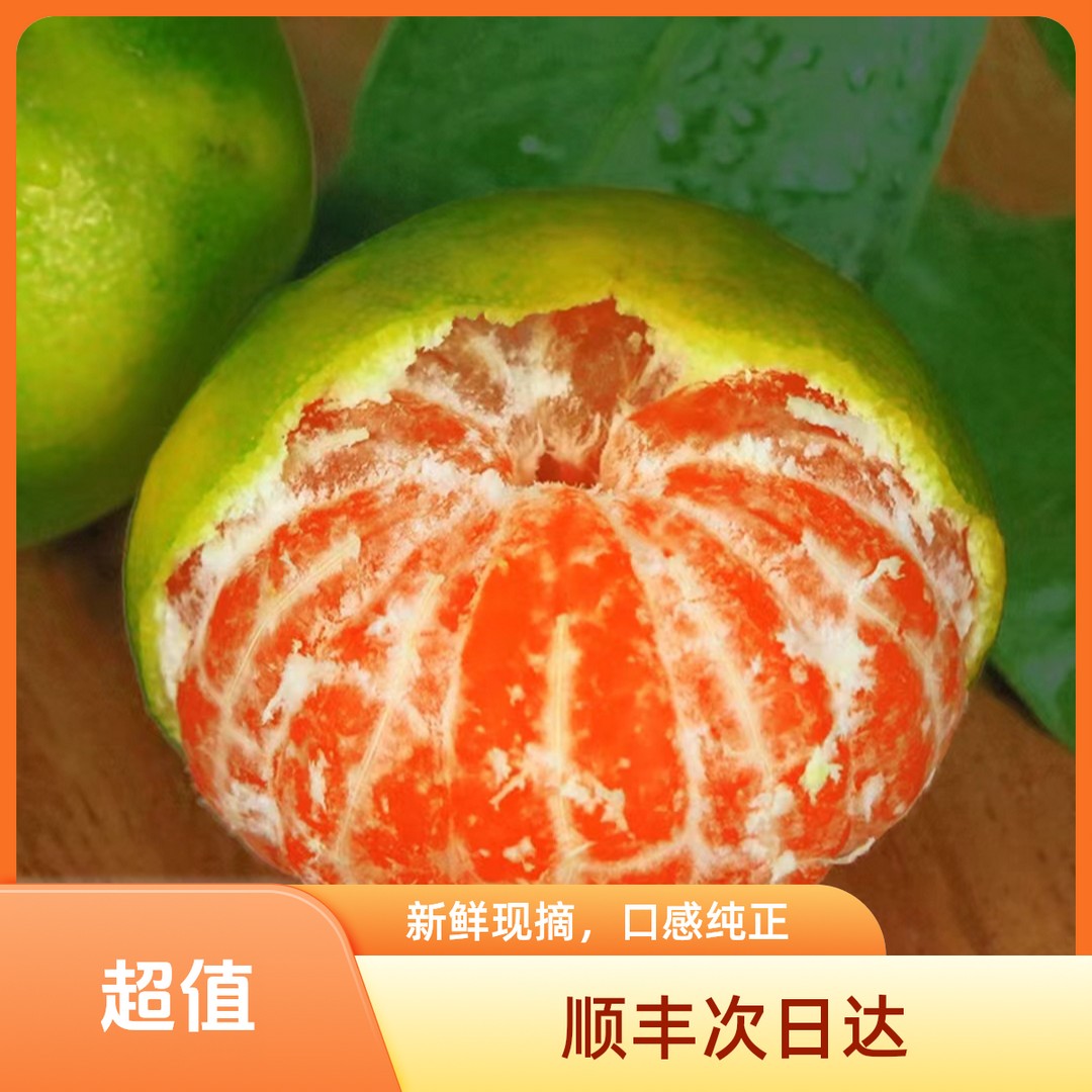 顺丰次日达浙江蜜桔正宗浙江临海高山特早蜜桔新鲜橘子青皮蜜桔橘