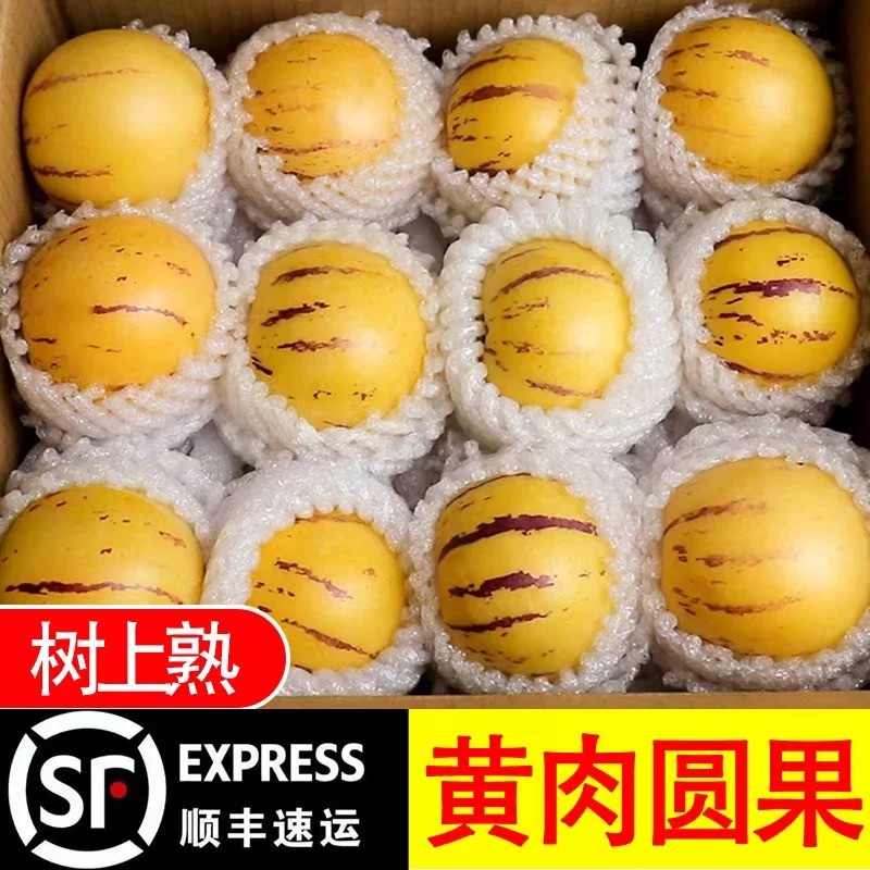 爱心助农正宗云南石林树熟人参果黄肉圆果大果黄心超甜水果产地直