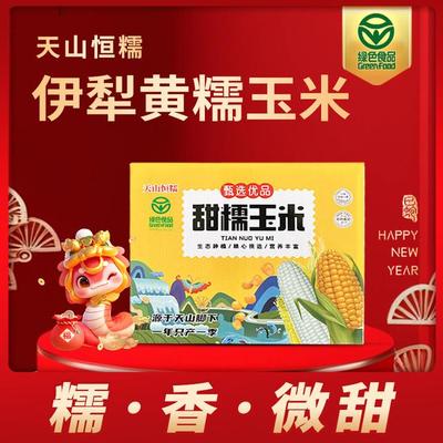 天山恒糯黄糯玉米非转基因香甜软糯玉米250g*8根真空包装