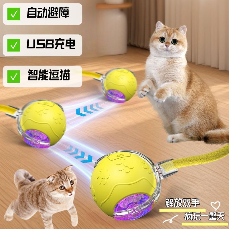 自动遛猫逗狗神器拍打唤醒溜溜球运动宠物玩具小猫小狗解闷逗猫咪