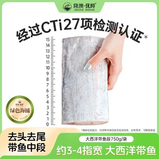 精品超大带鱼中段隆澳 干炸香煎清蒸带鱼 新鲜海钓活刀鱼速冻