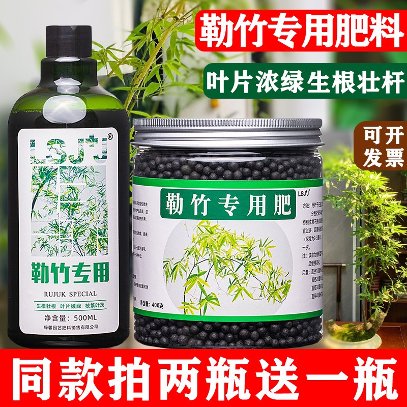花肥营养液小叶勒竹专用肥勒竹营养液室内盆栽盆景叶子发黄竹类肥