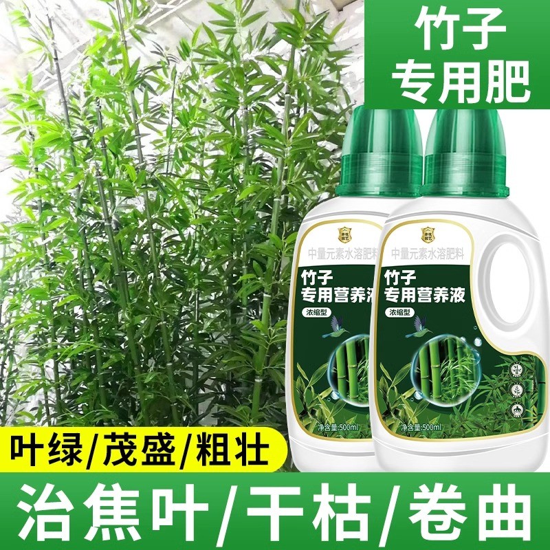 竹子专用浓缩营养液治黄叶佛肚竹红观音竹内门竹罗汉竹米竹液体肥