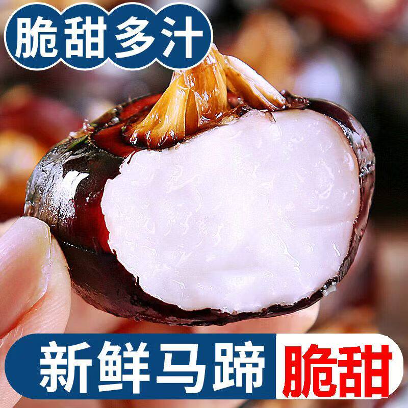 正宗马蹄荸荠当季新鲜水果整箱3斤包邮现挖地栗大果即食