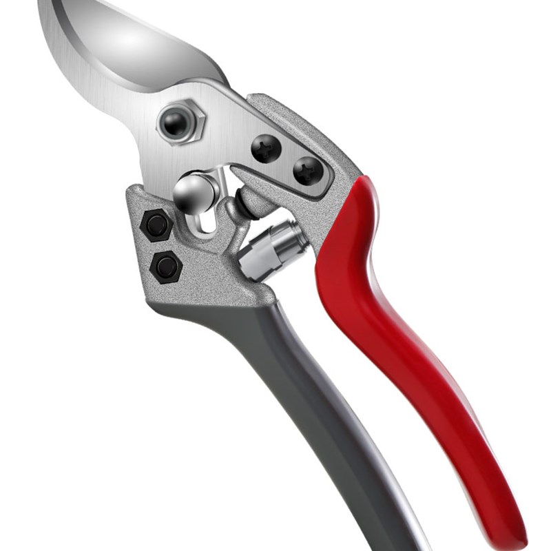 果树修枝剪树枝专用剪子剪枝园林工具花剪修剪花艺花卉剪园艺剪刀