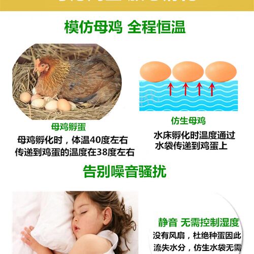 智能小型水床孵蛋器家用全自动孵小鸡鸭鹅孵化箱可调节容量