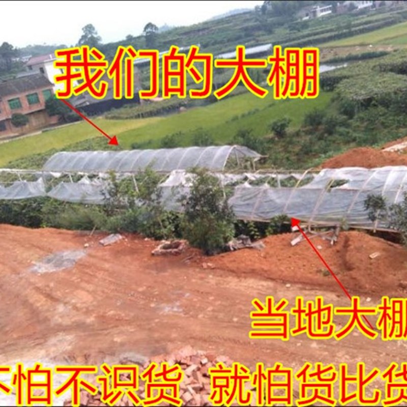 鱼塘防渗膜复合土工膜防漏防水布鱼池塑料膜加厚藕池养殖专用地膜