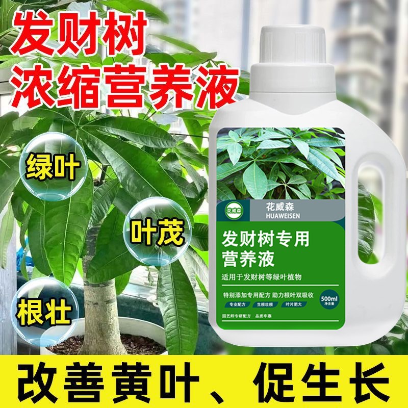 发财树专用营养液肥料专用肥治黄掉叶室内盆栽花卉绿植土水培花肥