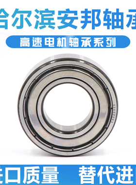 哈尔滨高速电机轴承 6415 6416 6417 6418 6420 E RS