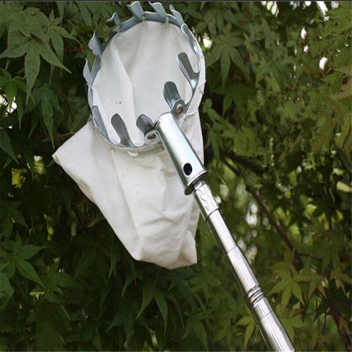 摘果器杨a梅园艺高空伸缩摘果剪采摘器果高枝剪摘果器高空5米杆带