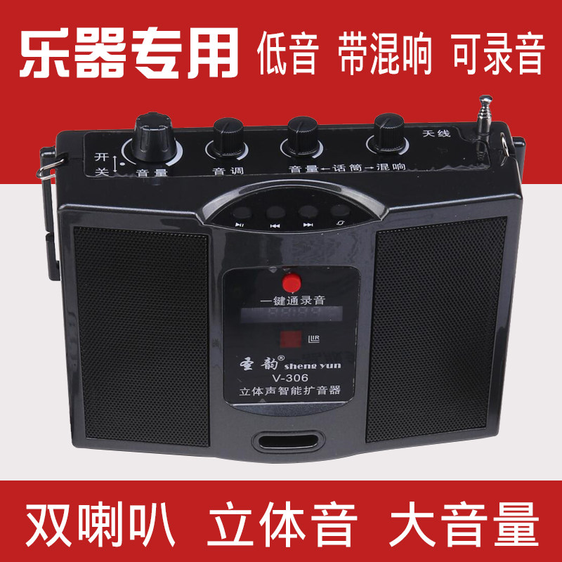 带混响双喇叭扩音器立体音电吹管二胡笛子吉他提琴专用大音量户外