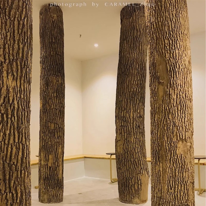定制原木带皮大树干北欧圆木立柱装饰造型枯木干树枝定制卧室客厅