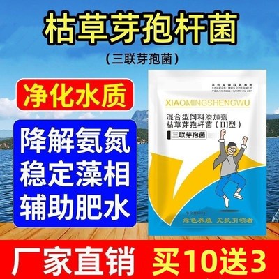 枯草芽孢杆菌水产养殖专用鱼虾蟹A塘养殖除臭净水调水降亚盐调PH