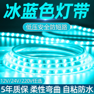 冰蓝色灯带led灯条自粘12V24V霓虹蓝色家用220V电竞氛围户外防水
