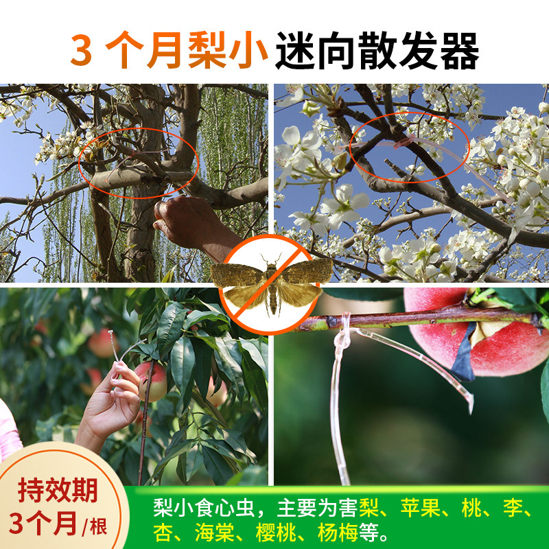 中捷四方梨小迷向素丝桃梨园果树除钻心虫绑丝PVSC细管农资3个月