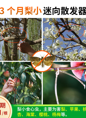 中捷四方梨小迷向素丝桃梨园果树除钻心虫绑丝PVSC细管农资3个月