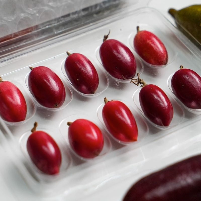 神秘果干10粒新鲜水果神奇果变味果应当季酸变甜稀罕见鲜果整箱