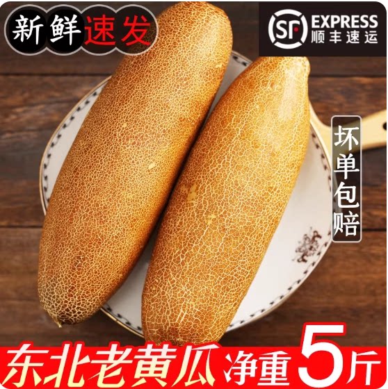 东北老黄瓜现摘麻皮老黄瓜应季新鲜蔬菜炖汤凉菜开胃酸黄瓜顺丰