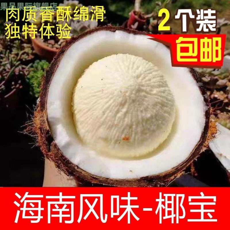 海南新鲜椰宝牛奶老椰子椰青椰皇4个装清甜多汁当季现摘整箱包邮