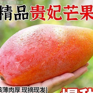 海南三亚特产贵妃芒新鲜水果应当季整箱小台金大果煌大芒果