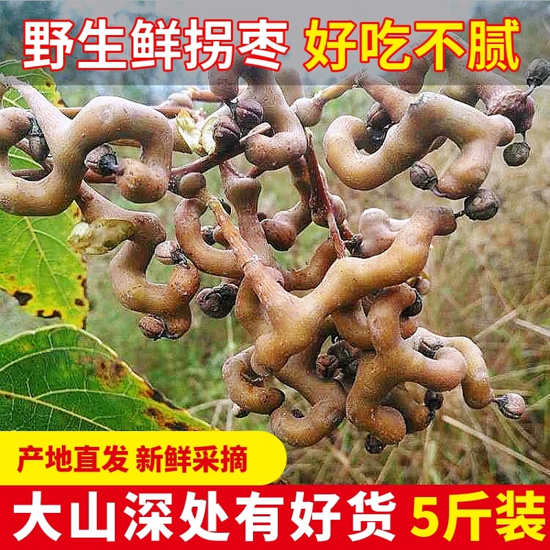 【现货】拐枣新鲜生吃25年秦岭野生万寿果枳椇子泡酒1斤5斤鸡爪梨