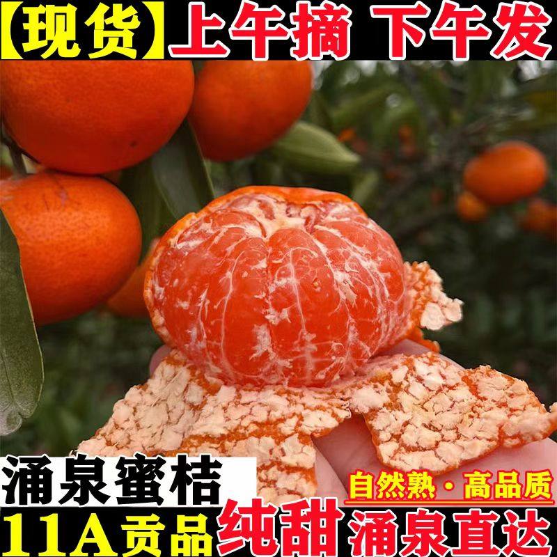 正宗临海涌泉蜜桔黄岩橘子新鲜10斤当季水果整箱无核甜桔子,水产肉类/新鲜蔬果/熟食,桔子,淘宝优惠券,粉丝福利购,淘宝优惠卷