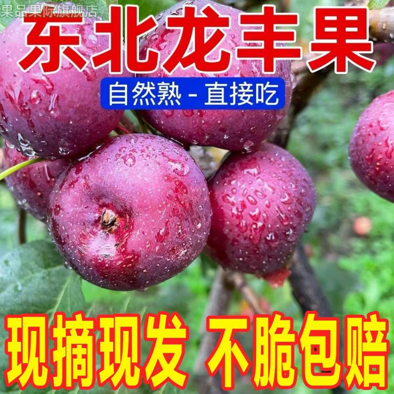 东北特产龙丰果大秋果小苹果当季新鲜水果海棠果沙果整箱5斤包邮