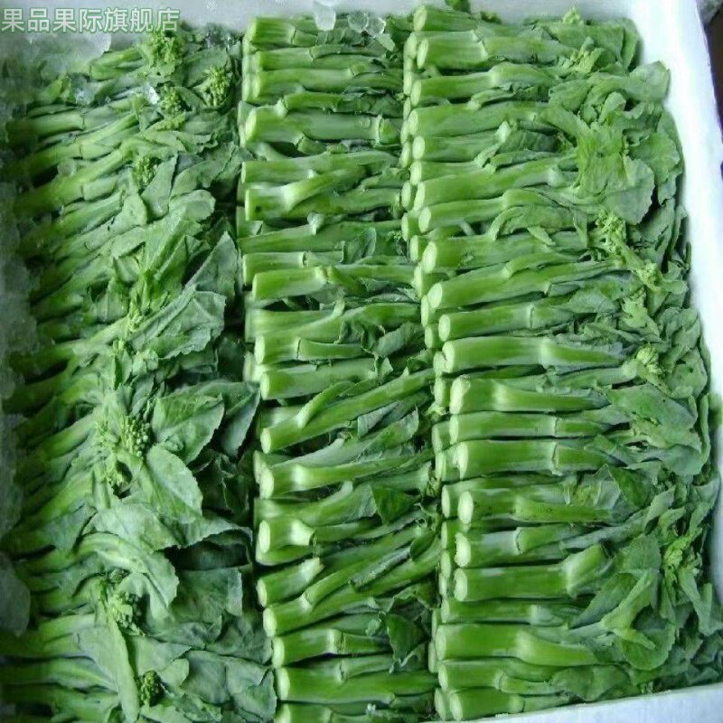 新鲜芥兰菜5斤脆嫩绿叶甘蓝小芥蓝当季现摘农家时令蔬菜整箱包邮