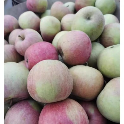 东北国光苹果5斤水果新鲜当季整箱脆甜应季大苹果平果老品种老树