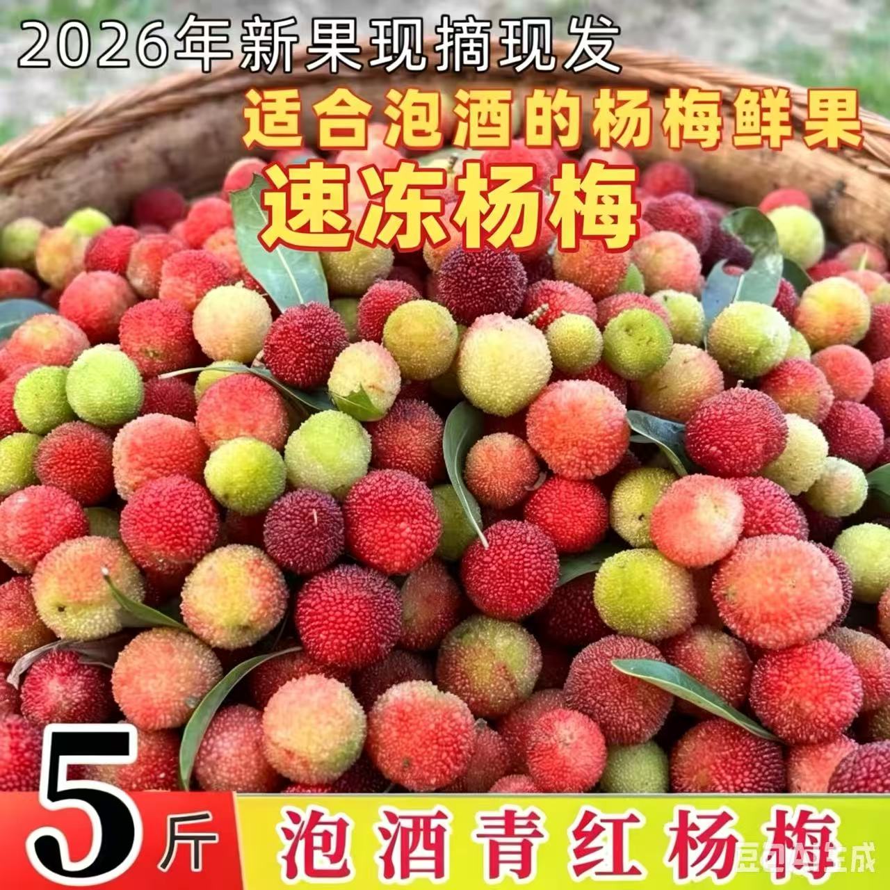 新鲜速冻泡酒青红杨梅鲜果小土野山杨梅扬梅孕妇酸杨梅当季水果