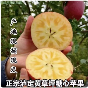 正宗甘孜冰糖心红苹果黄草坪康定达杠新鲜现摘水产自四川泸定礼盒