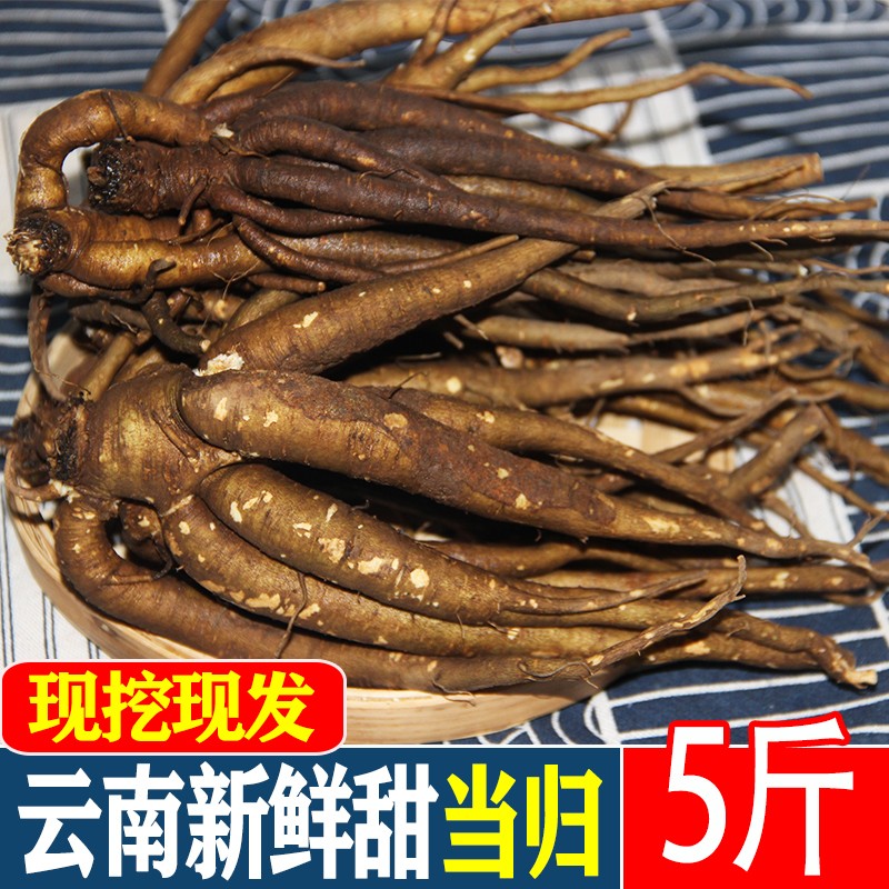 云南新鲜甜当归西归芹根整根散装独角归5斤包邮新鲜现挖煲汤药材