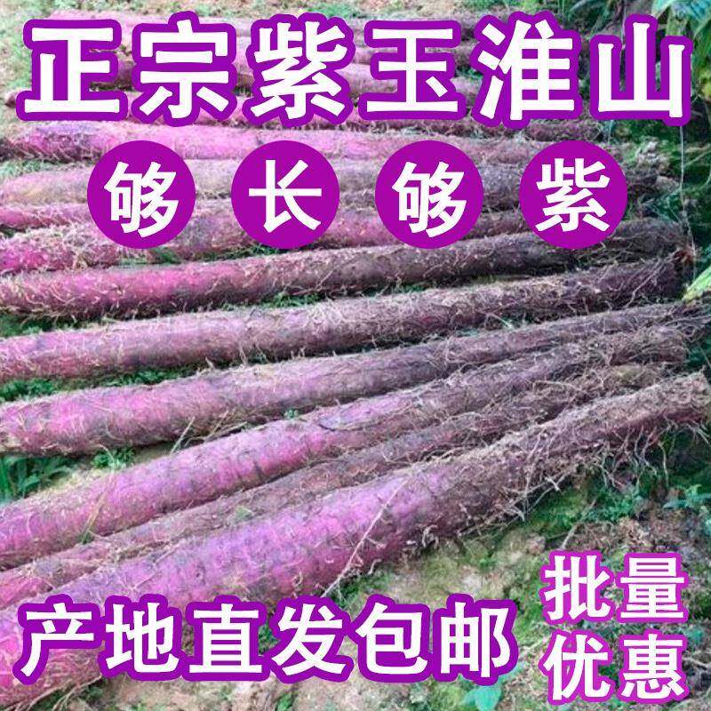 新鲜紫色山药正宗广西小叶铁杆紫玉淮山长型紫山药淮山酒店食材