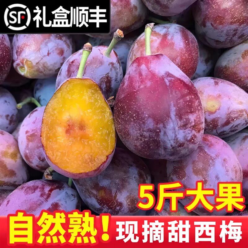 2026正宗新疆新鲜西梅甜当季整箱5斤李子孕妇水果顺丰
