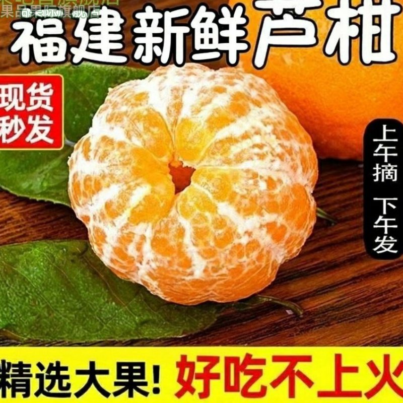 正宗芦柑新鲜10斤橘子当季现摘甜水果椪碰柑桔子包邮整箱福建永春,水产肉类/新鲜蔬果/熟食,橙,淘宝优惠券,粉丝福利购,淘宝优惠卷