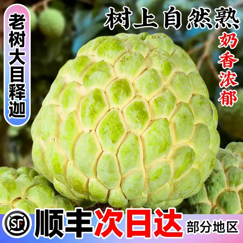 顺丰现摘释迦果新鲜番荔枝5斤大凤梨牛奶佛头果林檎当季新鲜水果