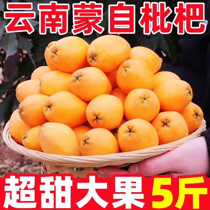 云南蒙自枇杷5斤新鲜水果米琵琶果易批把果五琵笆果星大枇杷鲜果