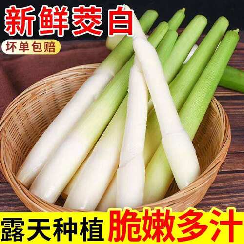 新鲜蔬菜茭白上市时令农家蔬菜农家种植高笋茭儿菜月子下奶食材