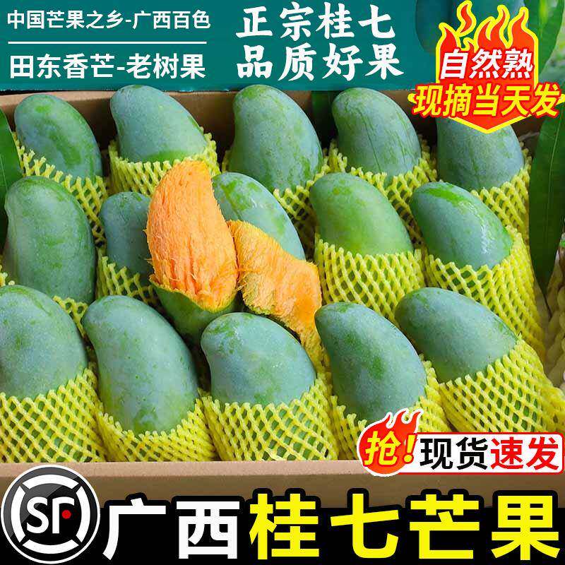 广西百色桂七芒果10斤新鲜当季正宗青皮甜心芒热带大芒果整箱包邮