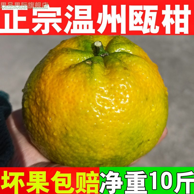 温州正宗三洋湿地瓯柑 新鲜水果橘子桔子丑橘丑八怪小果欧柑5斤,水产肉类/新鲜蔬果/熟食,桔子,淘宝优惠券,粉丝福利购,淘宝优惠卷