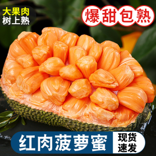 越南紅肉菠蘿蜜17斤應季 新鮮水果一整個樹上熟紅心波羅蜜整箱