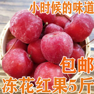 东北冻花红果海棠果 海红果沙果孕妇水果新鲜速冻酸甜多汁5斤包邮