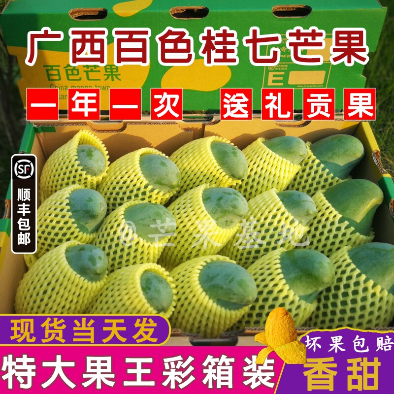 正宗广西百色田东桂七芒果新鲜9斤青皮桂7香芒大果顺丰包邮礼盒装
