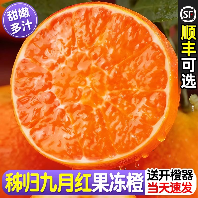 【京东快递】湖北秭归正宗九月红果冻橙现摘现发新鲜当季爆汁橙图片